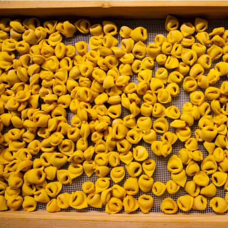 pasta fresca ripiena